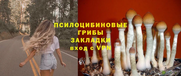 марки lsd Богданович