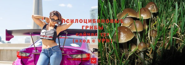apvp Богородск